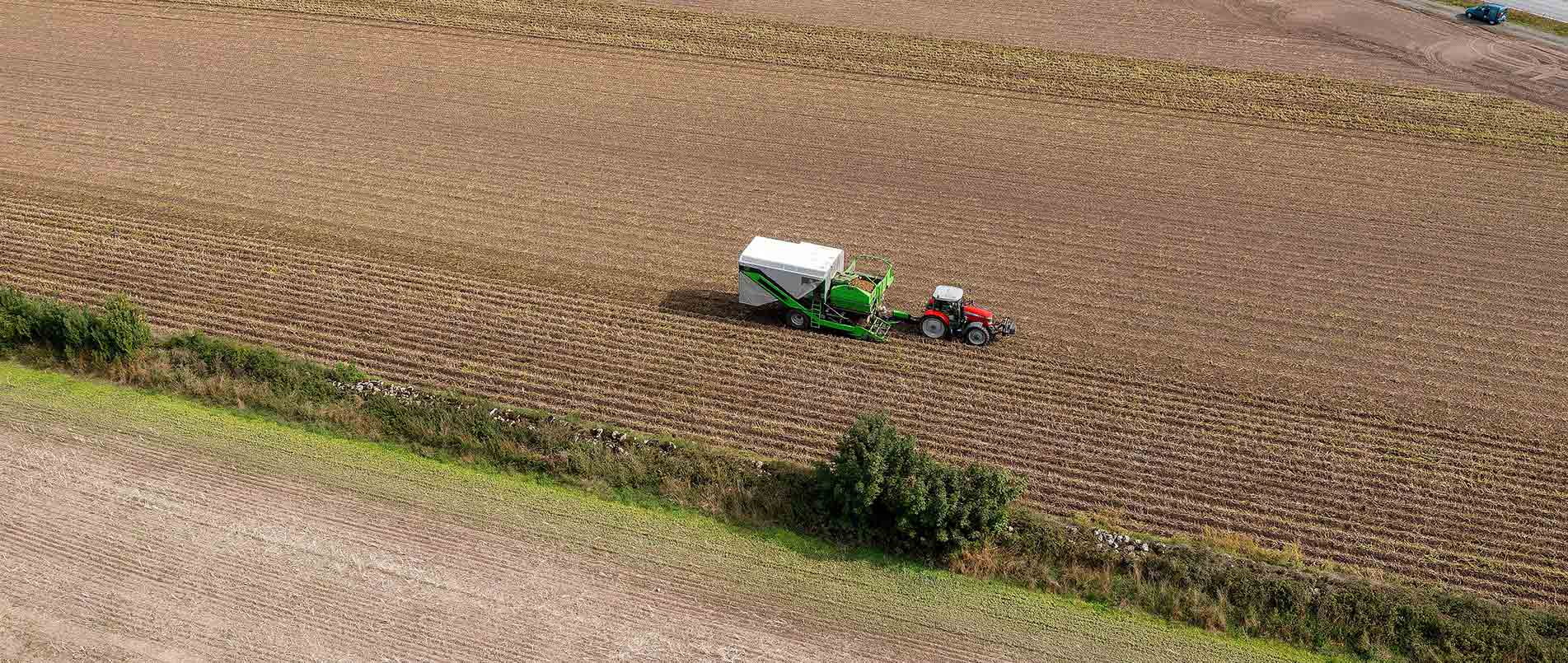 “探、收、烘、运”，看mg不朽情缘官网如何四管齐下一站式保障秋收果实