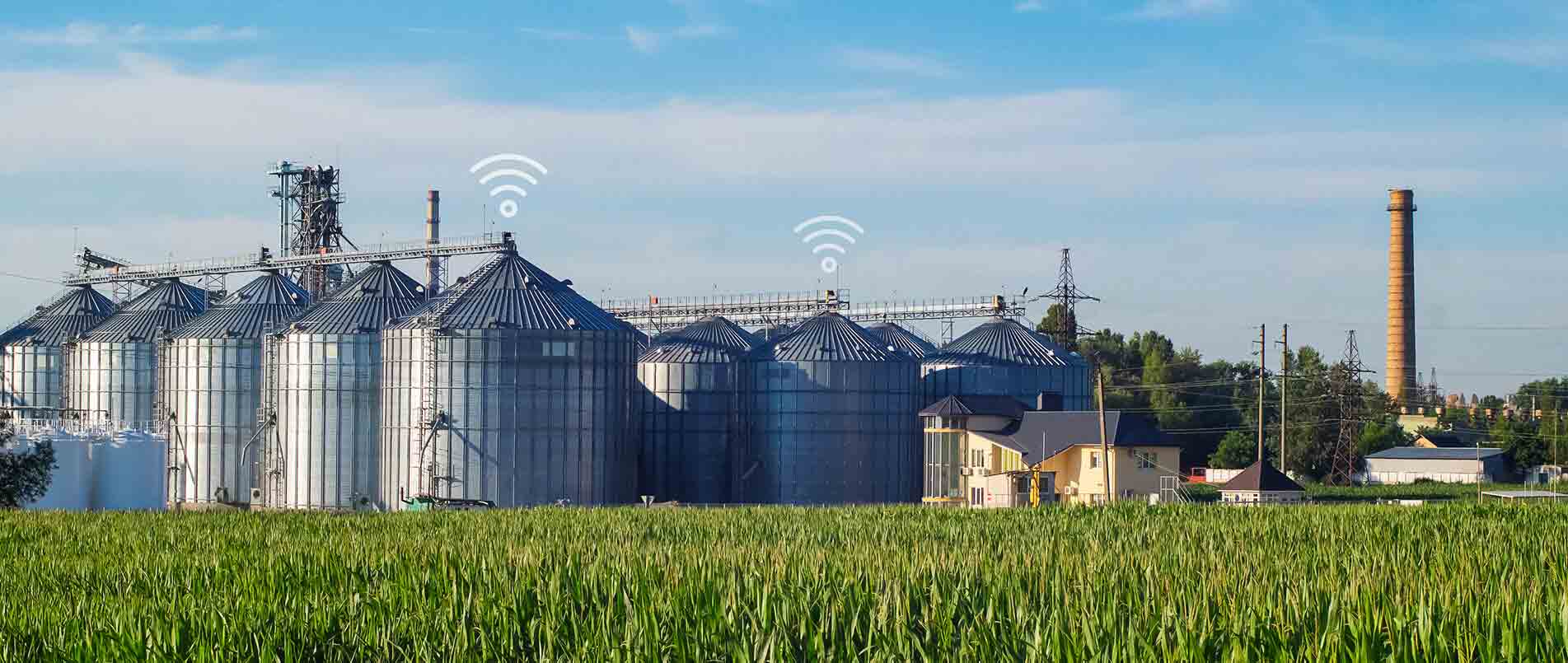 mg不朽情缘官网助力夏粮存储新招式，科技手段更有效