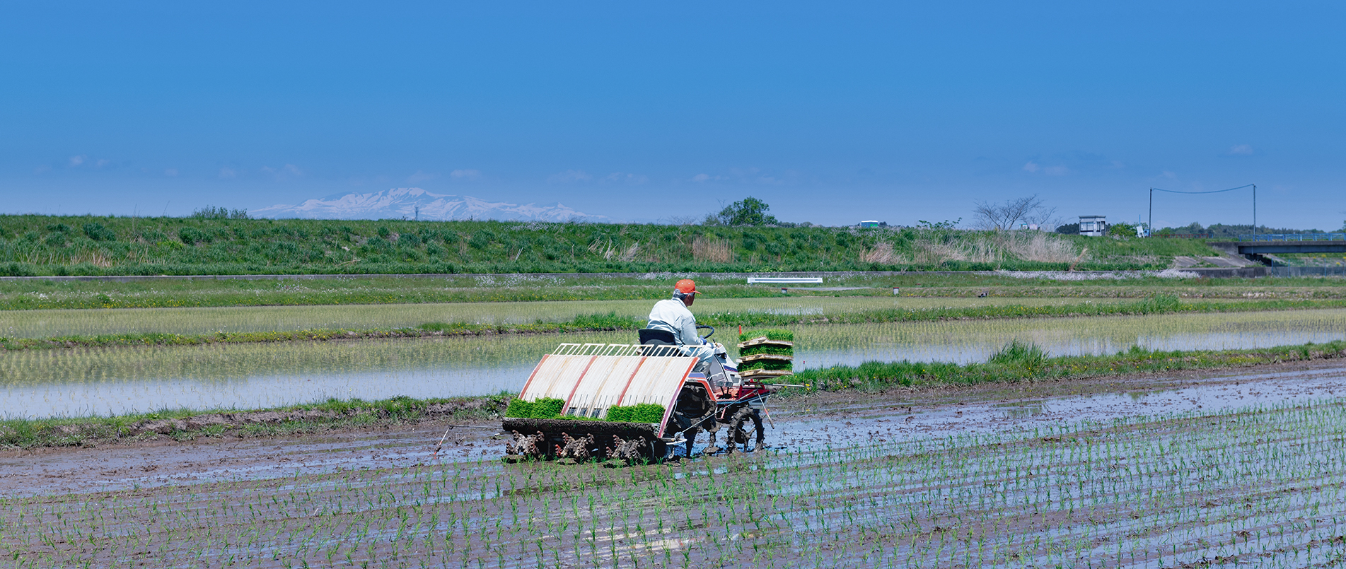 农机水田作业的“智慧大脑”——沃地泰FMA210，告别“经验种植”，开启精准高效农业之旅